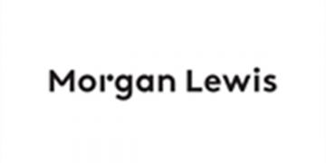 UK Government Publishes Green Paper on Transforming Public Procurement | Morgan Lewis – Tech & Sourcing