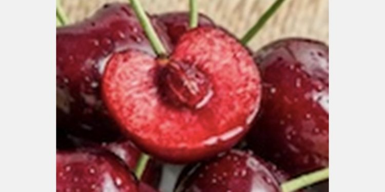 Chinese market price of Chilean cherries is falling, but may rise again before Chinese Spring Festival