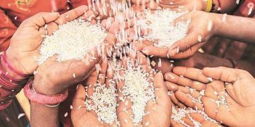 Chhattisgarh CM urges Centre to increase rice procurement limit to 40 LMT