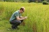 Protecting the global food supply chain
