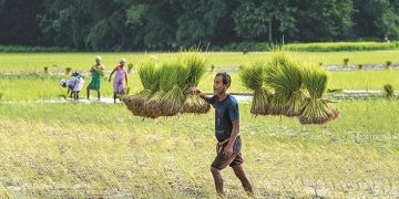 Farmers gear up for stir against Telangana govt over procurement centres