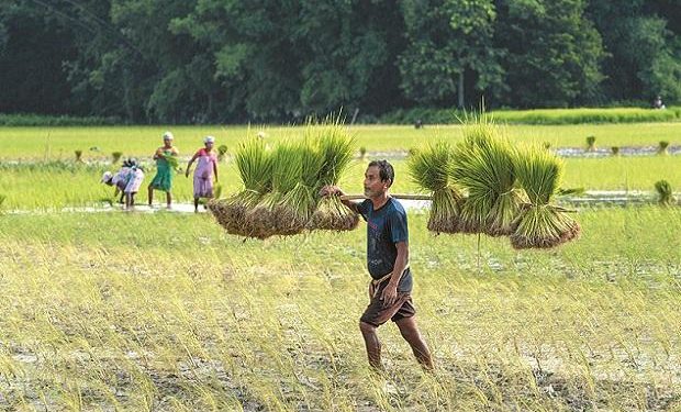 Farmers gear up for stir against Telangana govt over procurement centres