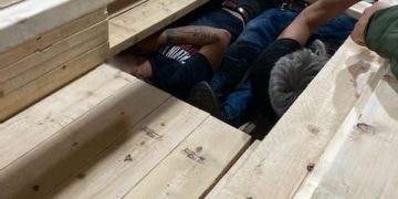 Immigrants found concealed in cargo of lumber
