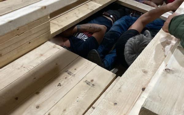 Immigrants found concealed in cargo of lumber