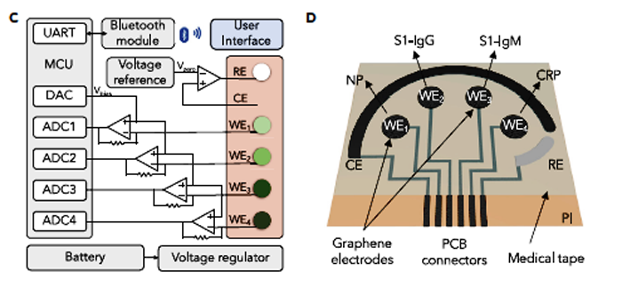 3. On the left is a block diagram of the SARS-CoV-2 RapidPlex platform shows UART, MCU, DAC, ADC, and other key functional blocks. On the right is a schematic illustration of the graphene sensor-array layout.