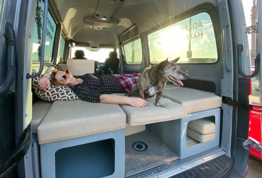 Adaptiv (TM) for Vans