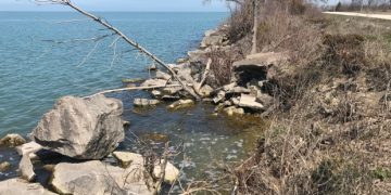 Pelee Island adds cargo flight as more residents stay at home