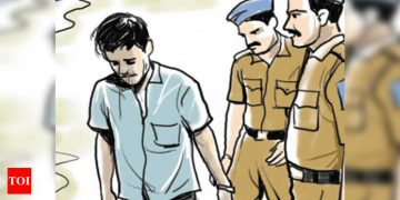 Karnataka govt’s e-procurement portal hacker in CID custody | Bengaluru News