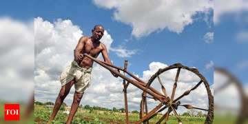 Paddy procurement deadline extension evokes mixed response in Bihar | Patna News