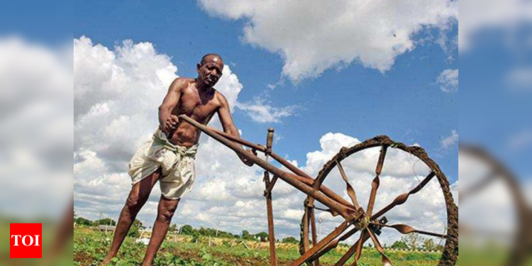 Paddy procurement deadline extension evokes mixed response in Bihar | Patna News