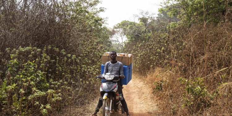 The vaccine cold supply chain can’t reach everywhere : New Frame