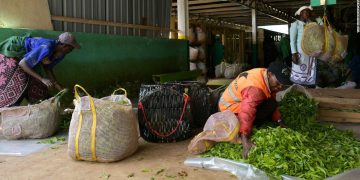 Unilever, owner of Ben & Jerry’s and Dove, is promising every worker in its global supply chain a living wage