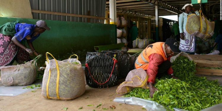 Unilever, owner of Ben & Jerry’s and Dove, is promising every worker in its global supply chain a living wage