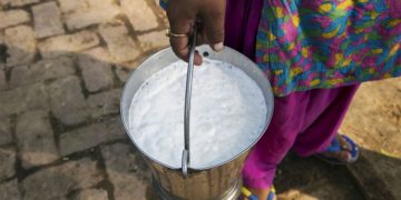 Dairy Sector Update: Spread Between Milk Procurement Prices, Selling Prices Remains High, Says ICICI Securities – BloombergQuint