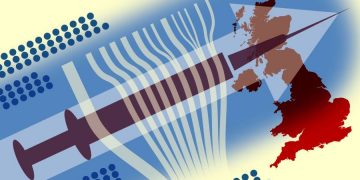 In graphics: the UK vaccine supply chain