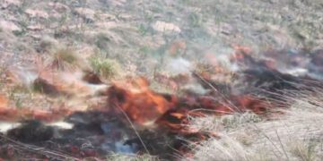 Los Alamos National Laboratory part of team working to help wildfire management