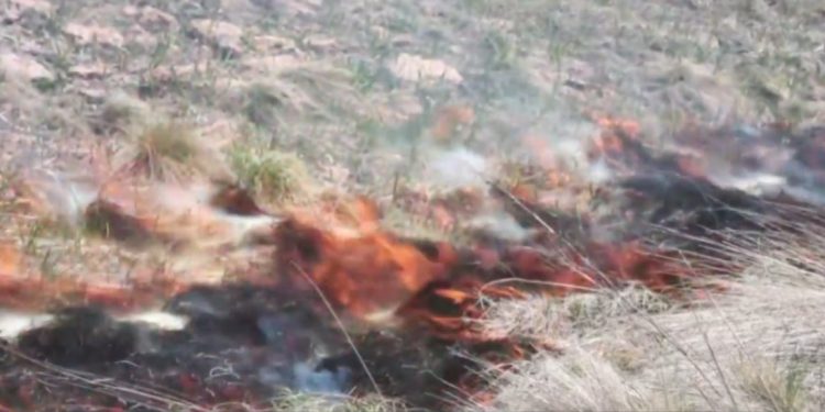 Los Alamos National Laboratory part of team working to help wildfire management
