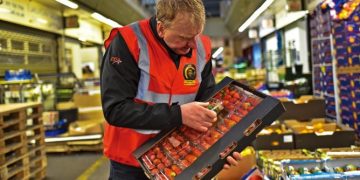 Brexit deal starts to hit food supply chain, causing widespread concern