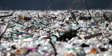 Islands of floating waste clog rivers in Balkans