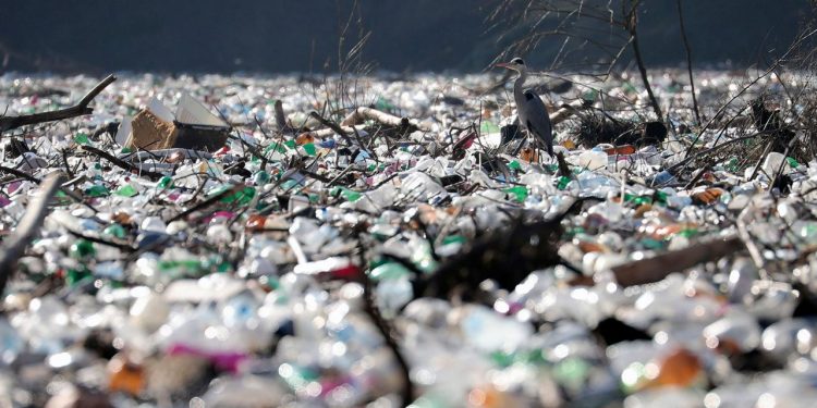 Islands of floating waste clog rivers in Balkans