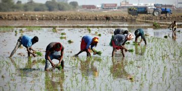 Agri financing, warehousing key requirements for Indian agri economy; these two sectors may benefit farmers