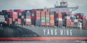 Liners highly unlikely to slash service for Chinese New Year