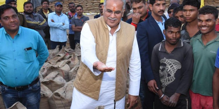 Chhattisgarh breaks record, sees highest quantity of paddy procurement in 20 years