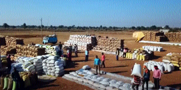 Chhattisgarh breaks 20 years record of paddy procurement