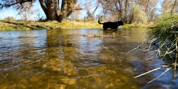 Boulder County issues environmental sustainability grants