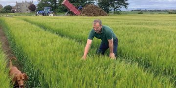How two spring barley growers produce award-winning crops