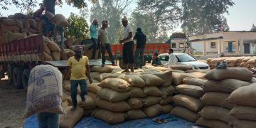 Kharif Paddy procurement geared up in Odisha; 35 lakh 6 thousand 183 Metric Ton paddy procured till date | Odisha Breaking News | Odisha News | Latest Odisha News