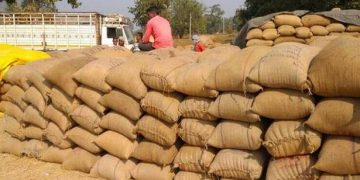 Odisha BJP issues ultimatum for paddy procurement