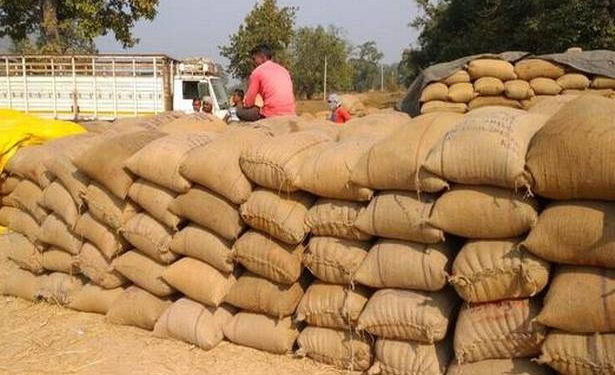 Odisha BJP issues ultimatum for paddy procurement