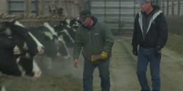 Life on the Farm: Taking stock of your feed inventory – WeAreGreenBay.com
