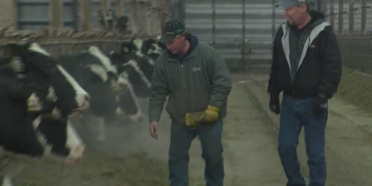 Life on the Farm: Taking stock of your feed inventory – WeAreGreenBay.com