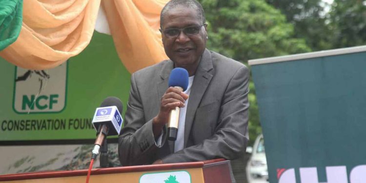 Group, others to engage schools, communities on plastic recycling | The Guardian Nigeria News