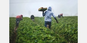Helping the food supply chain to find critical workers