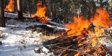 Northern Hills burn piles ignited for forest management
