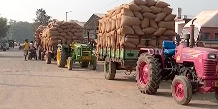 Farmers Cry Foul As Paddy Procurement Gets Halted In Odisha!