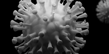 Pandemic brings attention to U.S. food supply chain