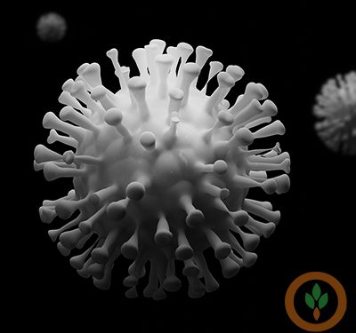 Pandemic brings attention to U.S. food supply chain