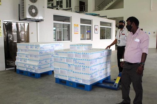 Perishable cargo exports begin from MRIA with consignment of edible fish to Ukraine