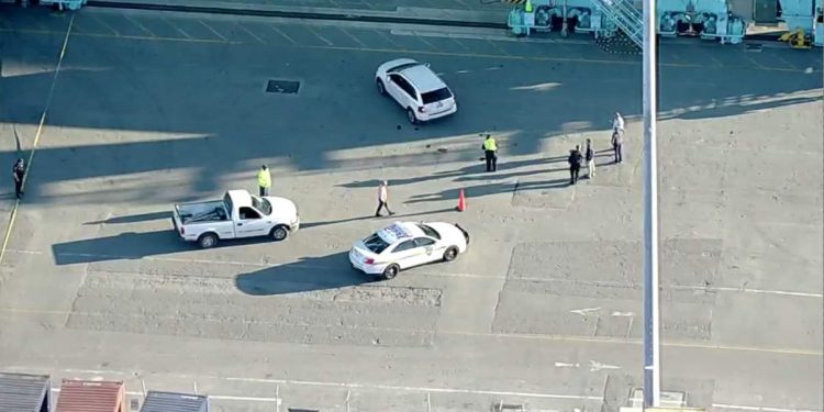 Woman dies after being struck by cargo truck at Jaxport