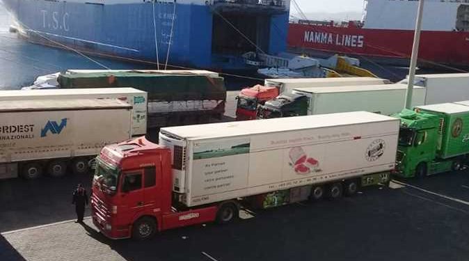 Egypt’s agricultural exports to Gulf states via Safaga Port rise by 33 percent