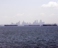 Shipping industry needs State support to develop: ministry