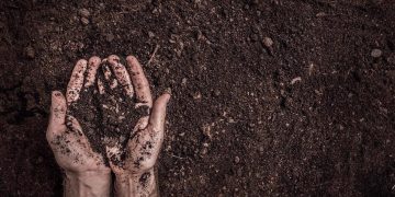 Using Near-Infrared (NIR) to Improve the Agricultural Supply Chain