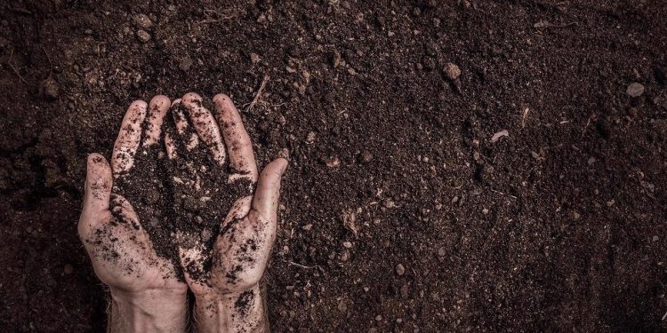 Using Near-Infrared (NIR) to Improve the Agricultural Supply Chain