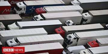 Brexit will increase food supply chain costs, warn business groups – BBC News