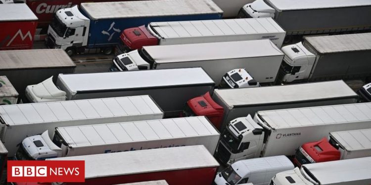Brexit will increase food supply chain costs, warn business groups – BBC News