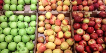 Ag News: Fresh Apple Inventory Down